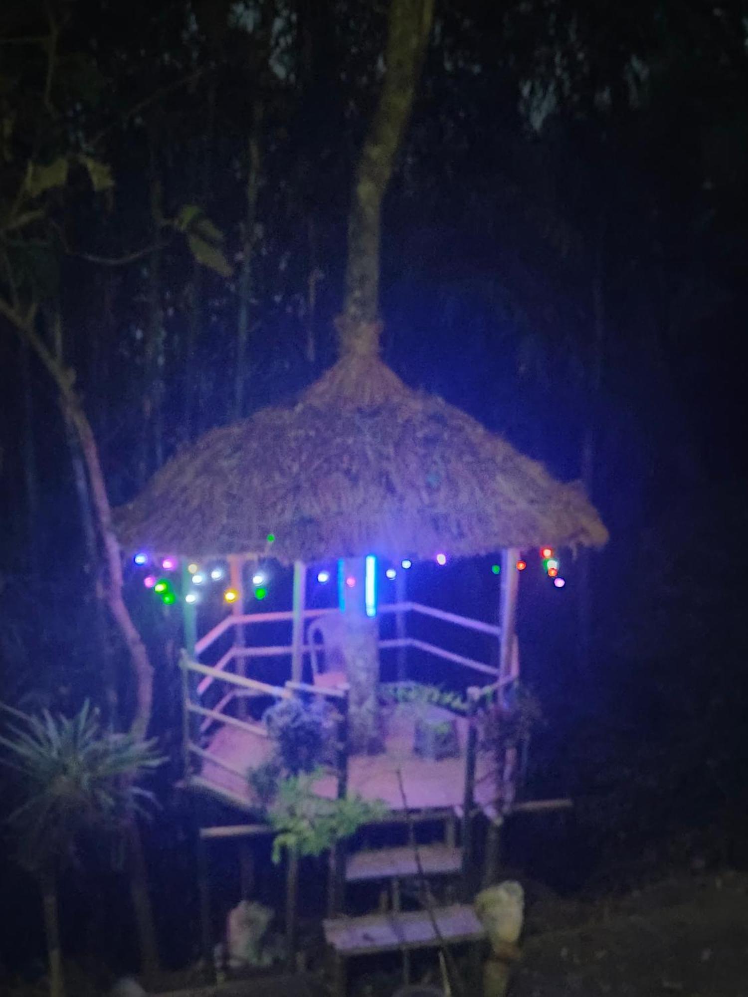 Dsd Bomzon Homestay 다르질링 외부 사진